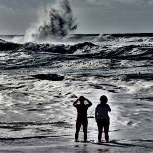 10645206_10204141292725451_1939941778542582604_n