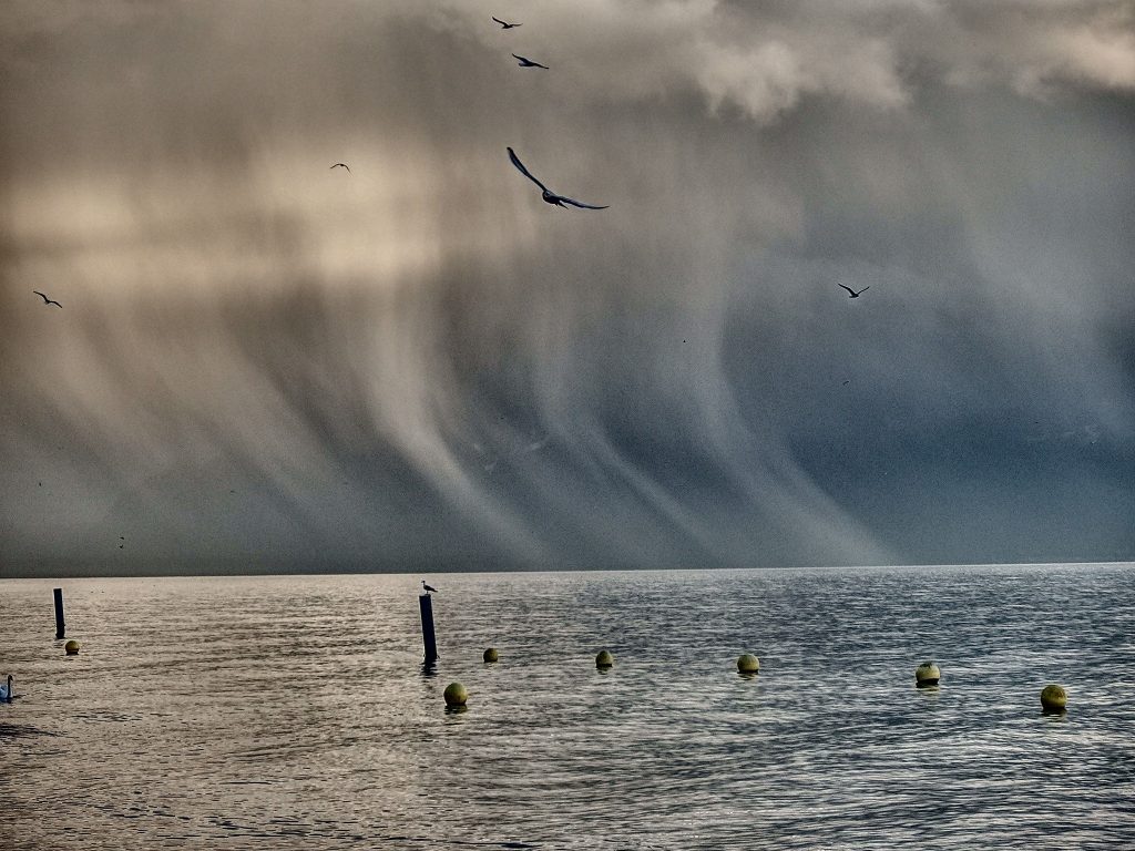 1502380_10202171844450475_1374125570_o